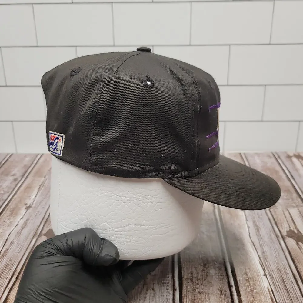 Vintage The Game Northwestern Wildcats Football Snapback Hat Black Purple NCAA